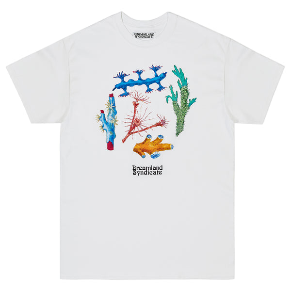 dreamland syndicate Coral T-shirt
