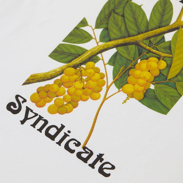 Dreamland Syndicate Fruit Eco T-shirt