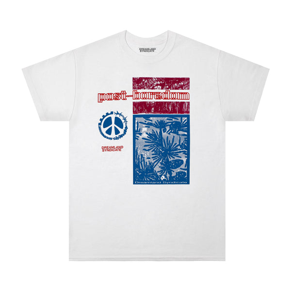 dreamland syndicate Plates T-shirt