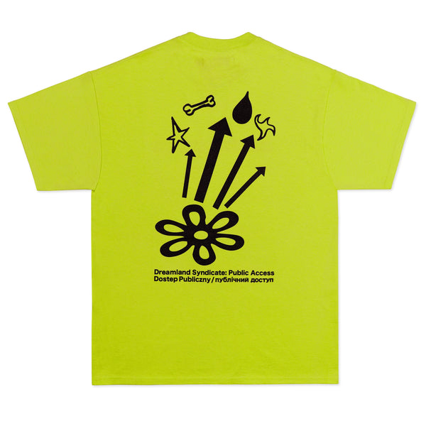 Dreamland Syndicate Public Access T-Shirt