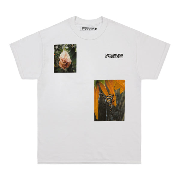 dreamland syndicate Spider T-shirt White