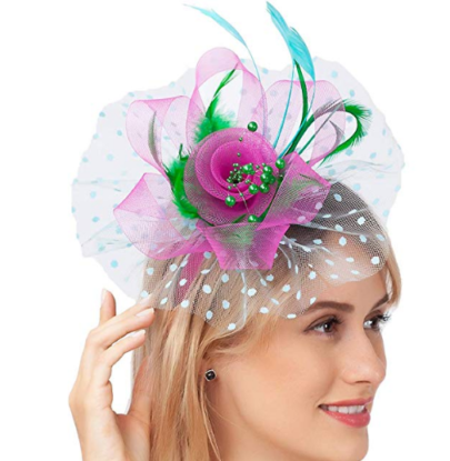 Dreshow DRESHOW Fascinators Hat Flower Mesh Ribbons Feathers On A Headband And A Clip Tea Party Headwear For Girls And Women