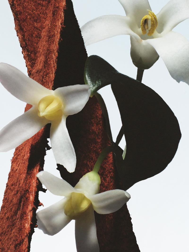 Dries Van Noten Fleur Du Mal 100 ML