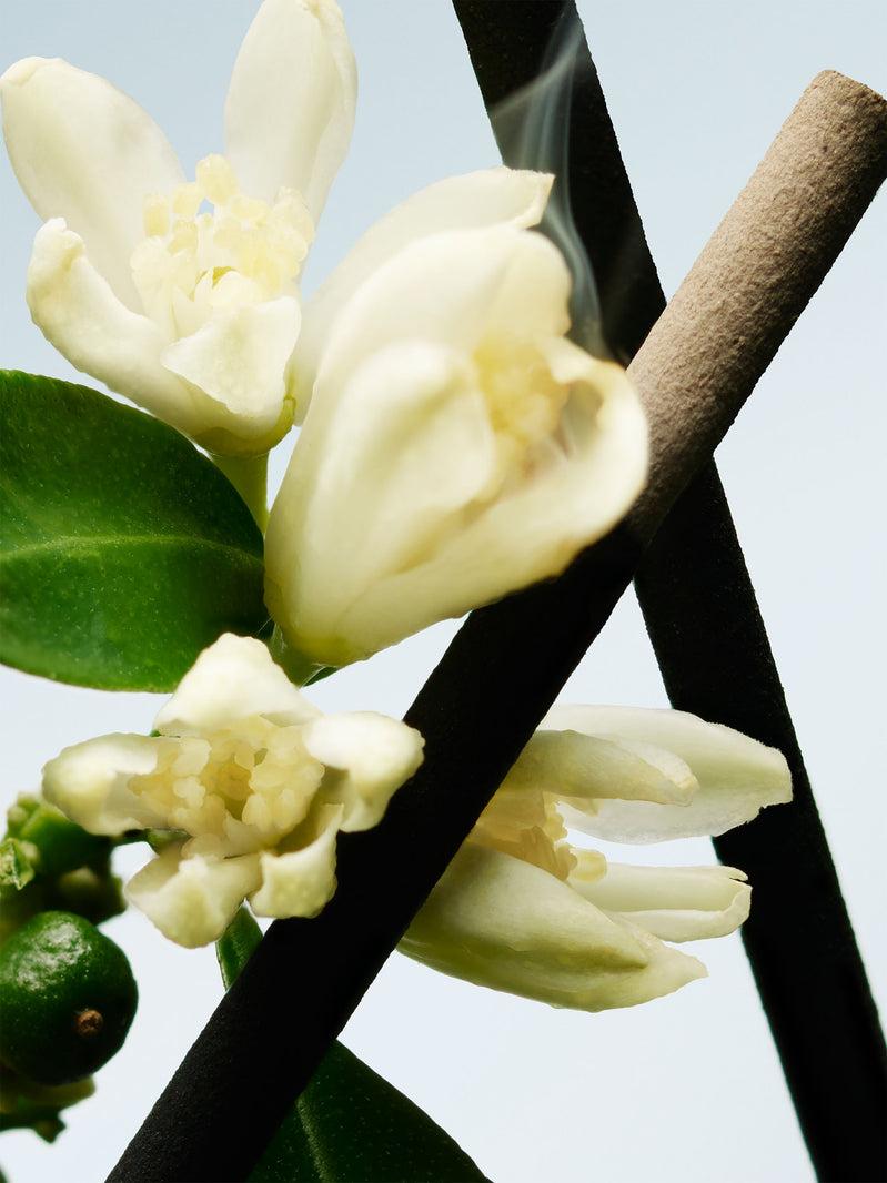 Dries Van Noten ORANGE SMOKE 200 ML