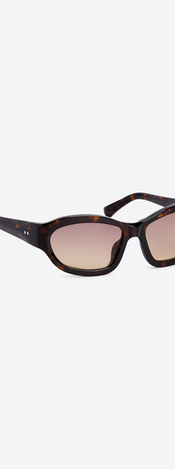 dries van noten Oval sunglasses dark camel
