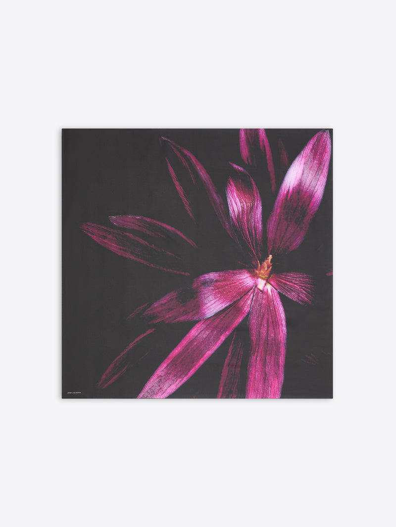 Dries Van Noten Printed Silk Scarf