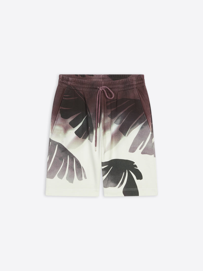 Dries Van Noten Printed Sweatshorts Burgundy