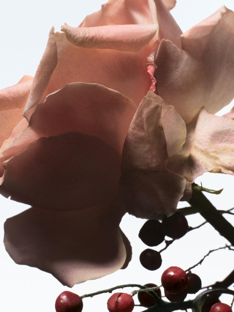 Dries Van Noten Raving Rose 100 ML