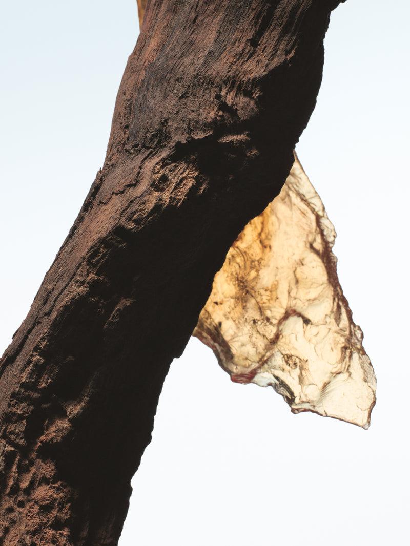 Dries Van Noten Rock The Myrrh 100 ML