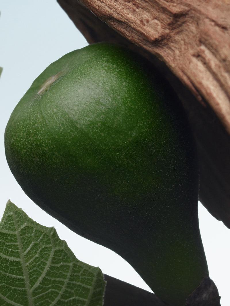 Dries Van Noten Santal Greenery 100 ML