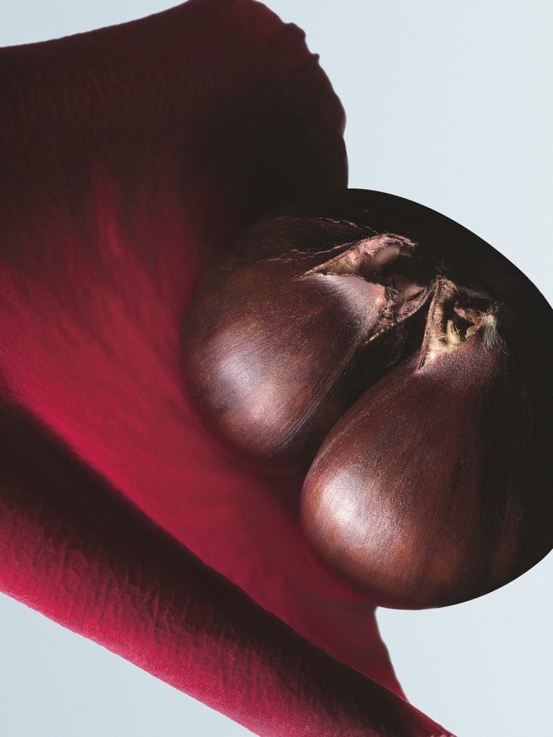 Dries Van Noten Soie Malaquais 100 ML