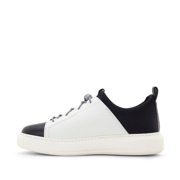 Dromedaris Oyster Bay Leather & Canvas Sneaker - Ozzie Dog