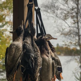 Duluth Pack SKU: M-7030 Game Straps