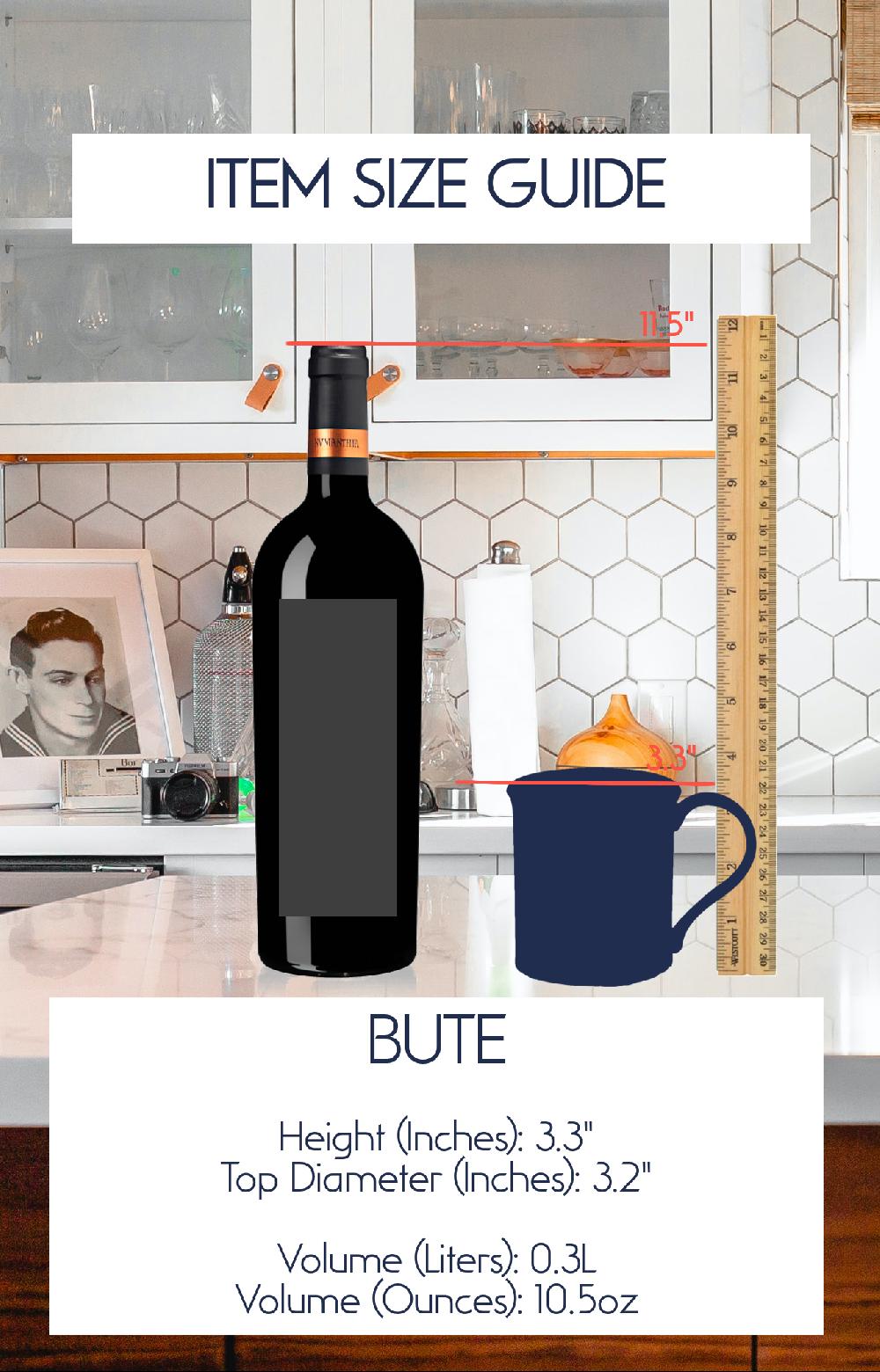 Dunoon Bute Seashore -Seal