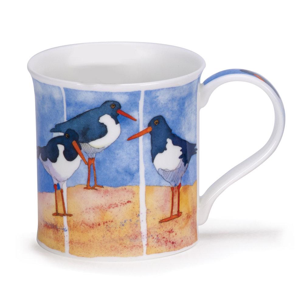 dunoon Bute Shore Birds - Oyster Catcher