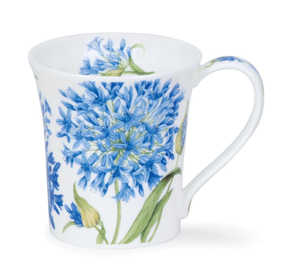 dunoon Jura - Agapanthus