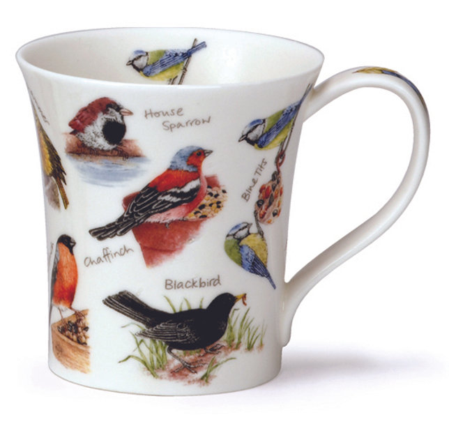 dunoon Jura Birdlife - Blue Tit