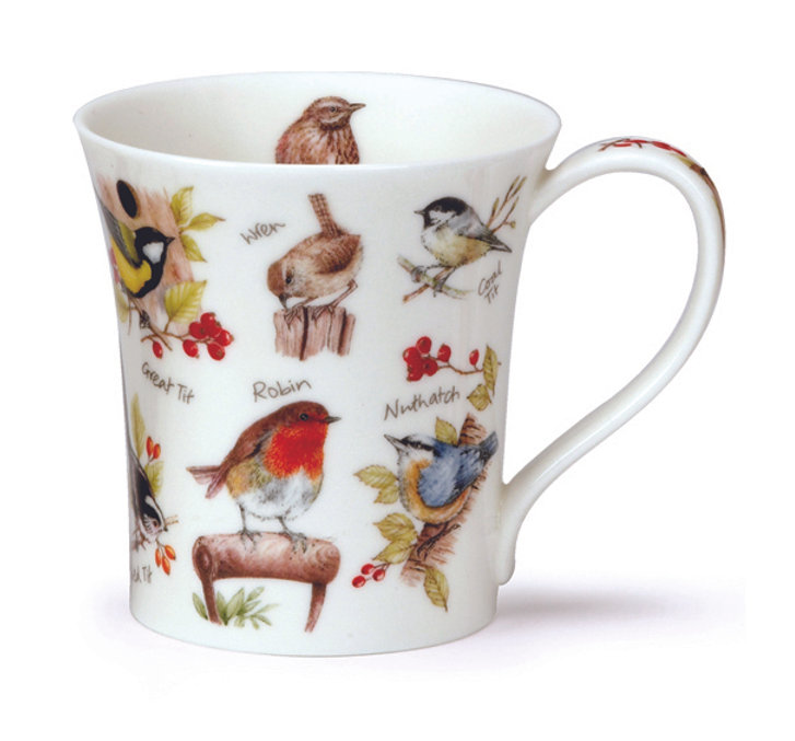 dunoon Jura Birdlife - Robin