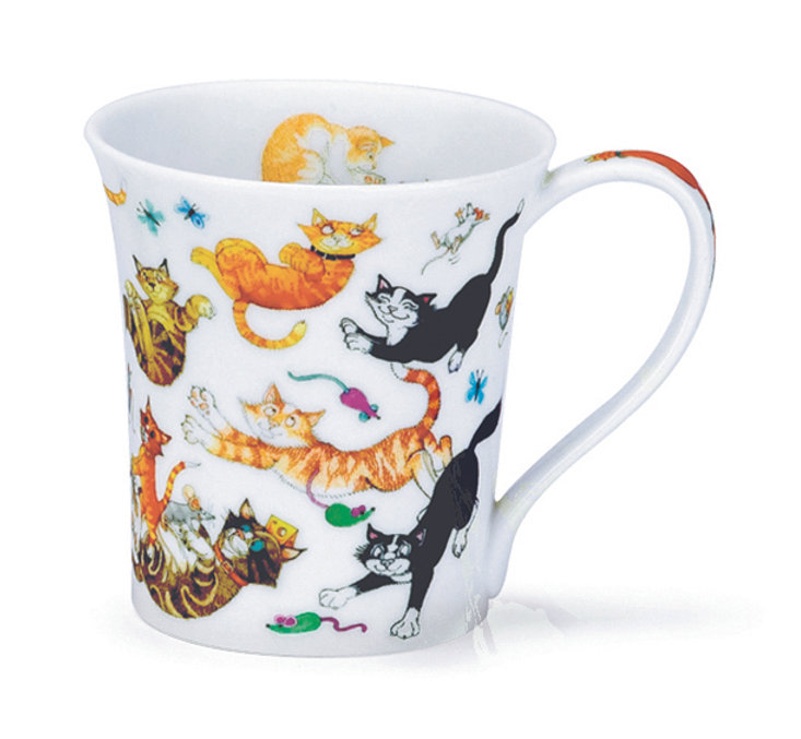 dunoon Jura Cats Galore