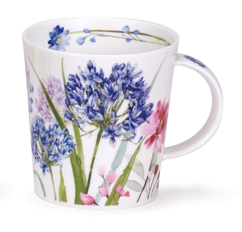 dunoon Lomond Wild Garden - Agapanthus