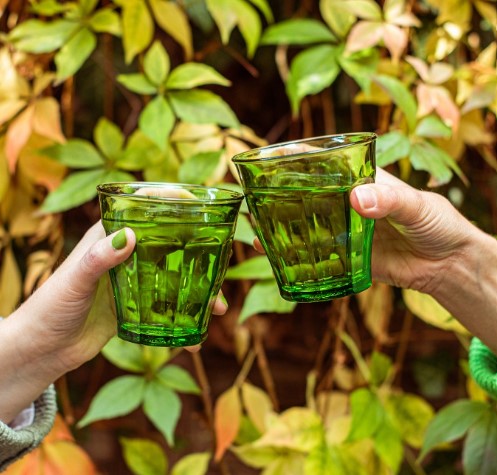 Duralex Le Picardie® Green Glass Tumbler