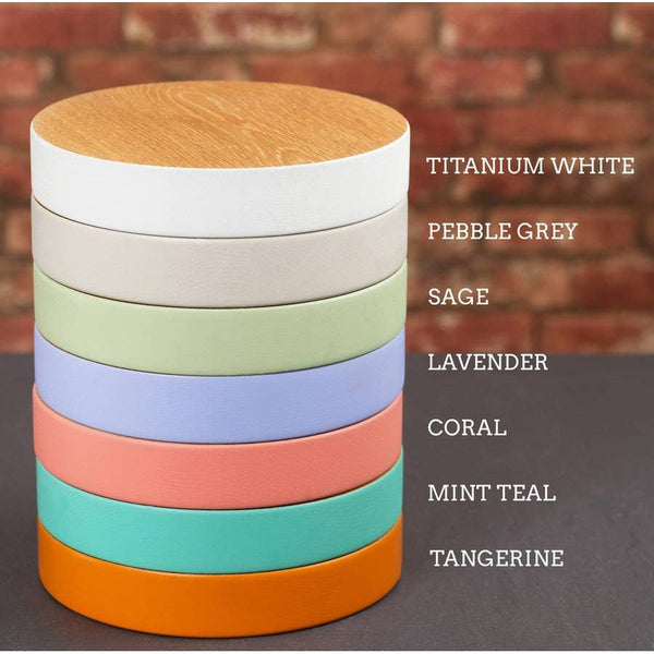 Dust And Things 'Trust Me You Can Dance' Coloured Wooden Coaster