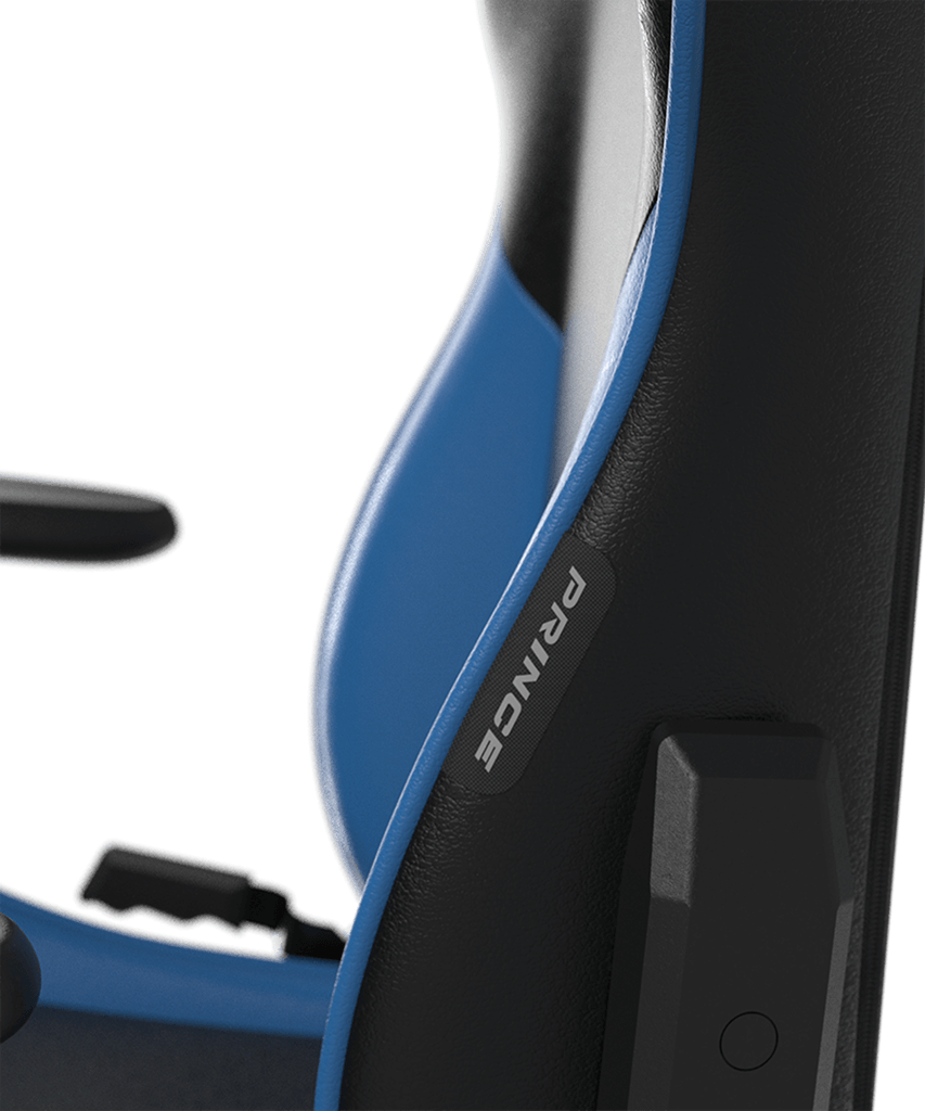 Dxracer DXRACER PRINCE Series