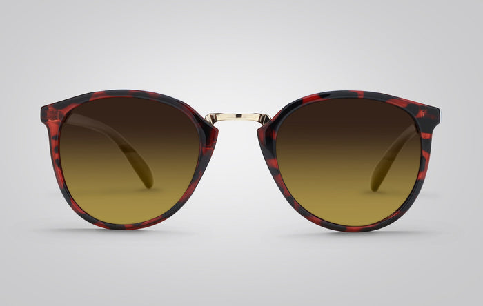 Eagle Eyes Luna Sunglasses Tortoise