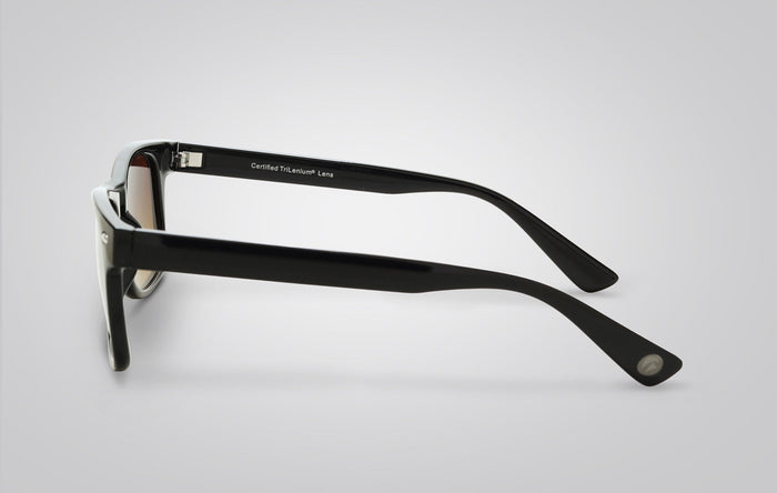 Eagle Eyes Morgan Sunglasses Black