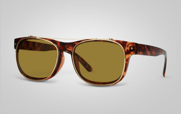 eagle eyes Starr Sunglasses Tortoise