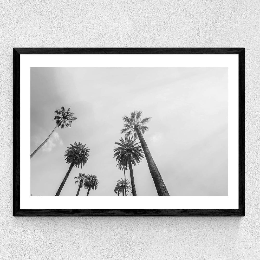 East End Prints 8 Palms