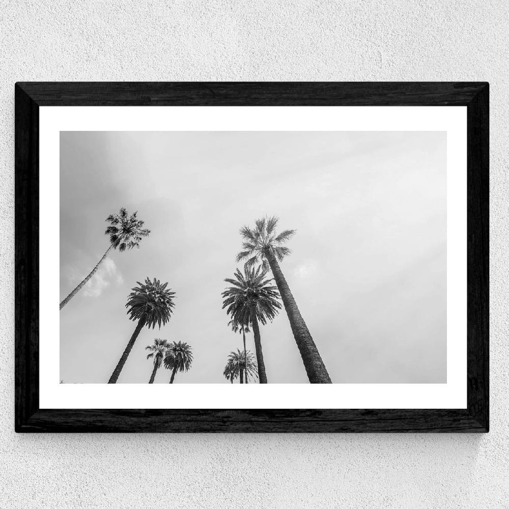 East End Prints 8 Palms