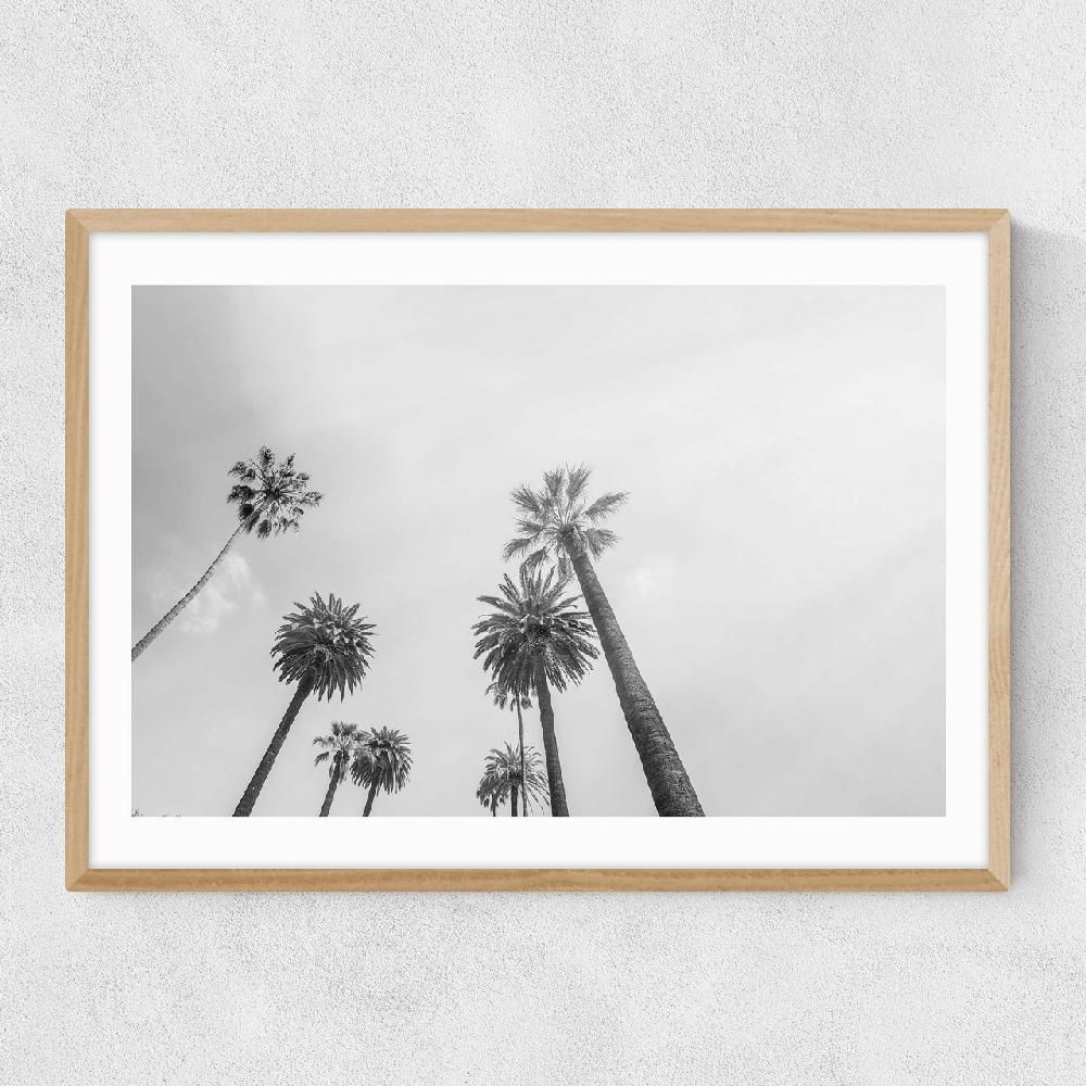 East End Prints 8 Palms