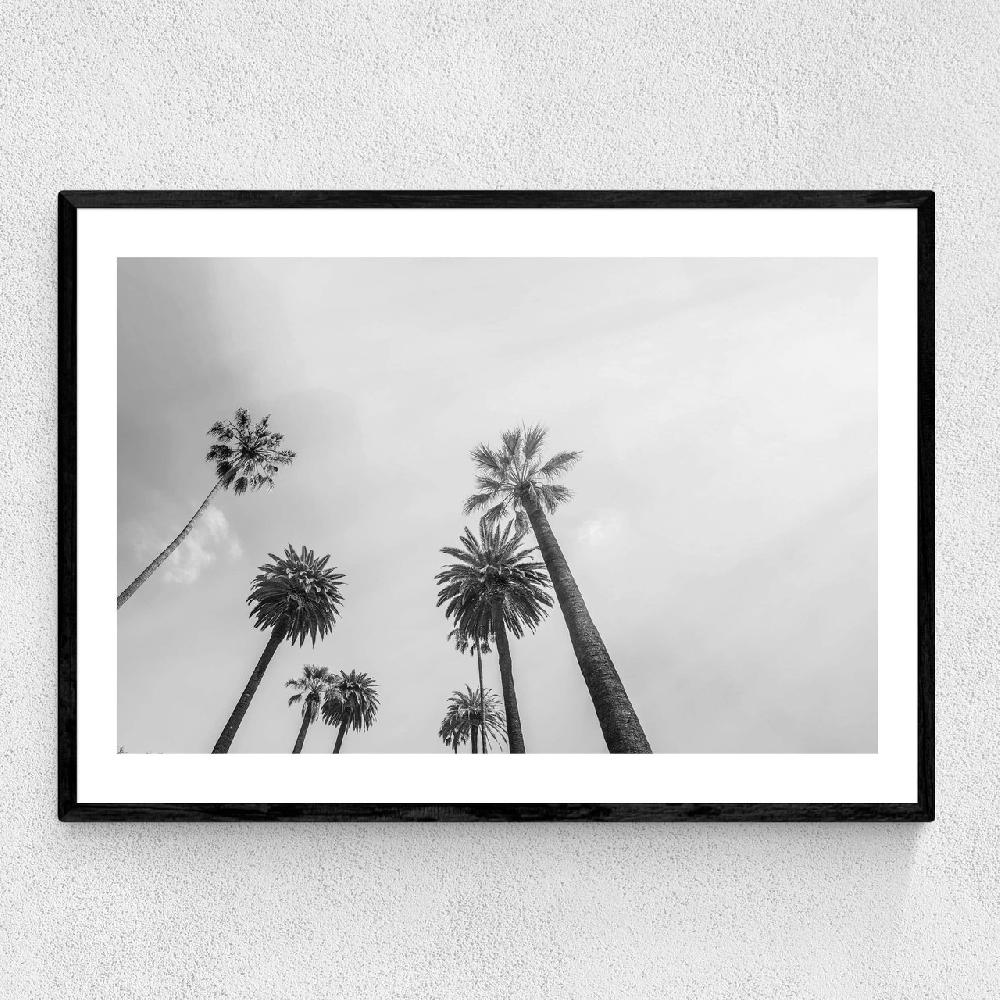 east end prints 8 Palms