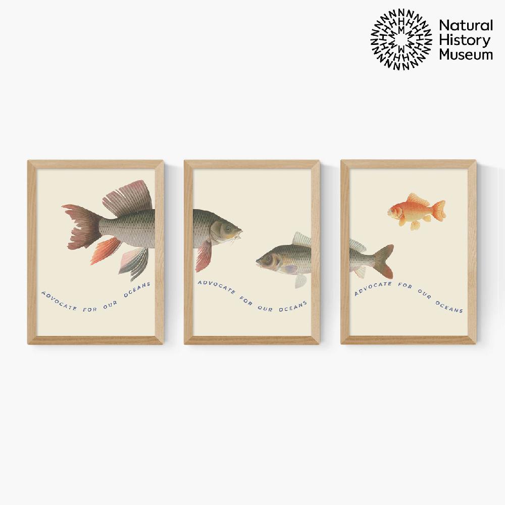 East End Prints Advocate Fish Triptych