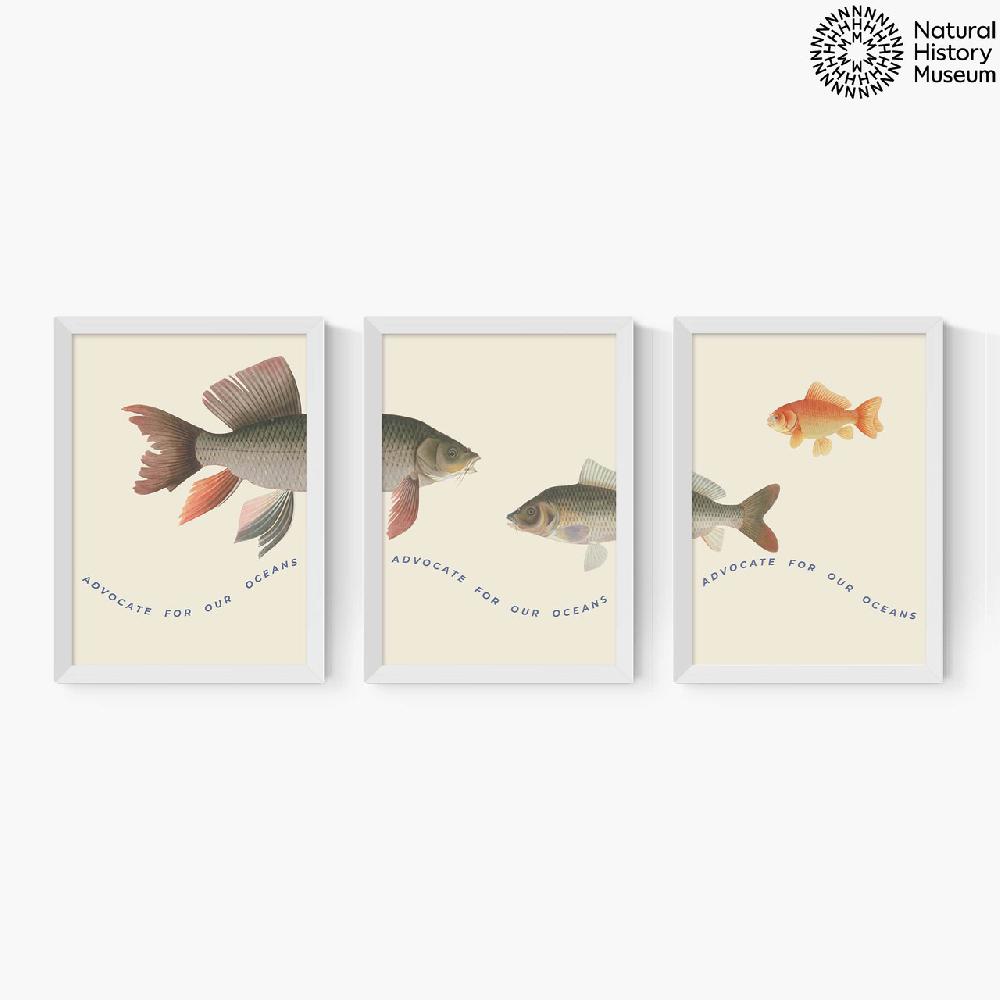 East End Prints Advocate Fish Triptych