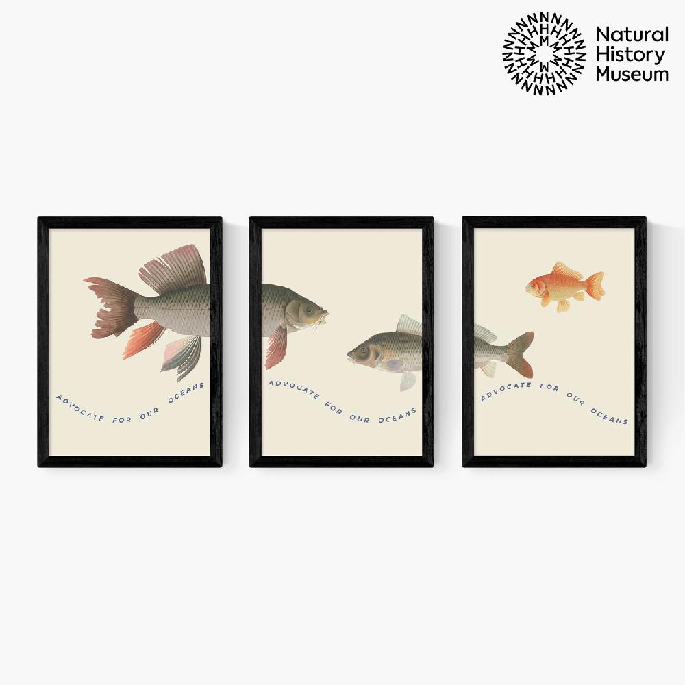east end prints Advocate Fish Triptych
