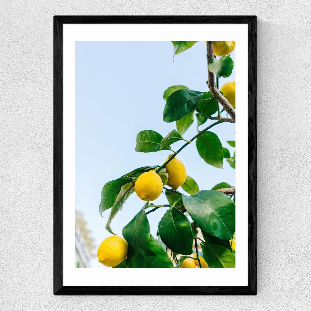 East End Prints Amalfi Coast Lemons