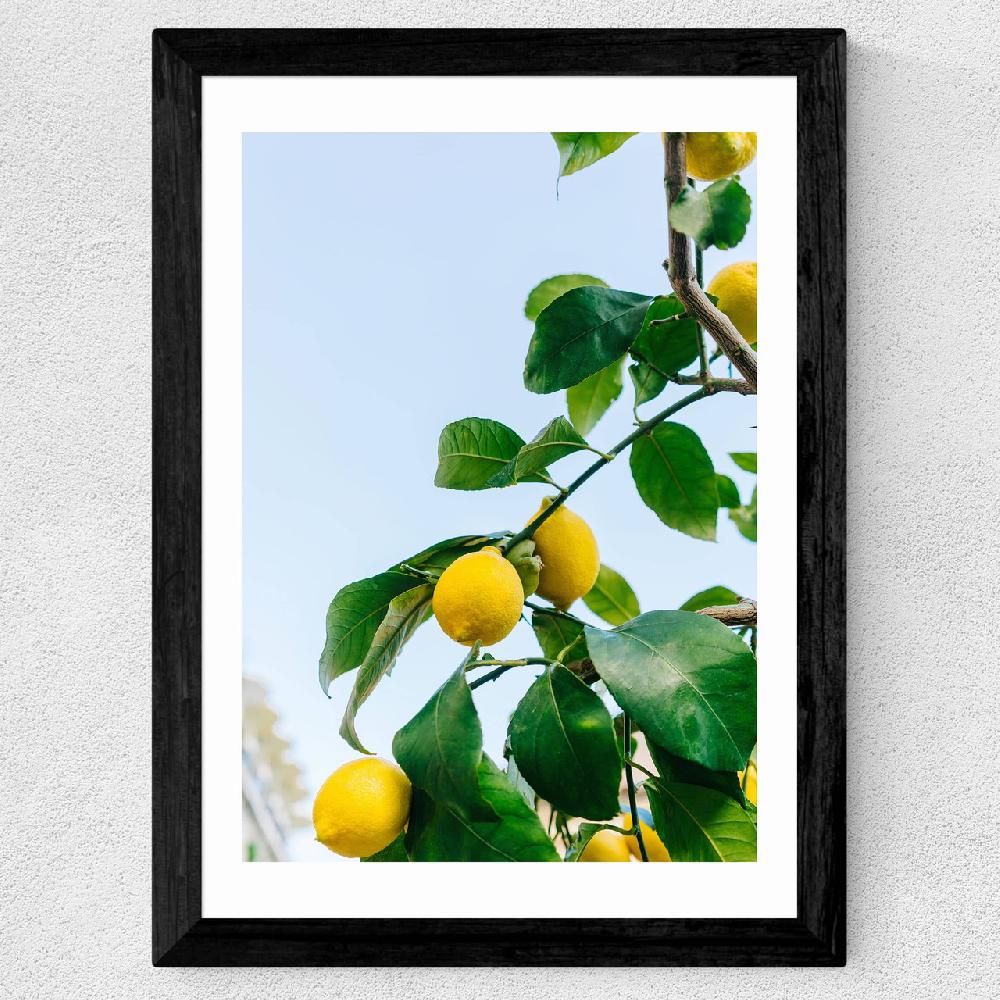 East End Prints Amalfi Coast Lemons
