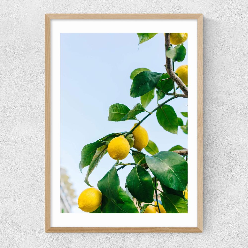 East End Prints Amalfi Coast Lemons
