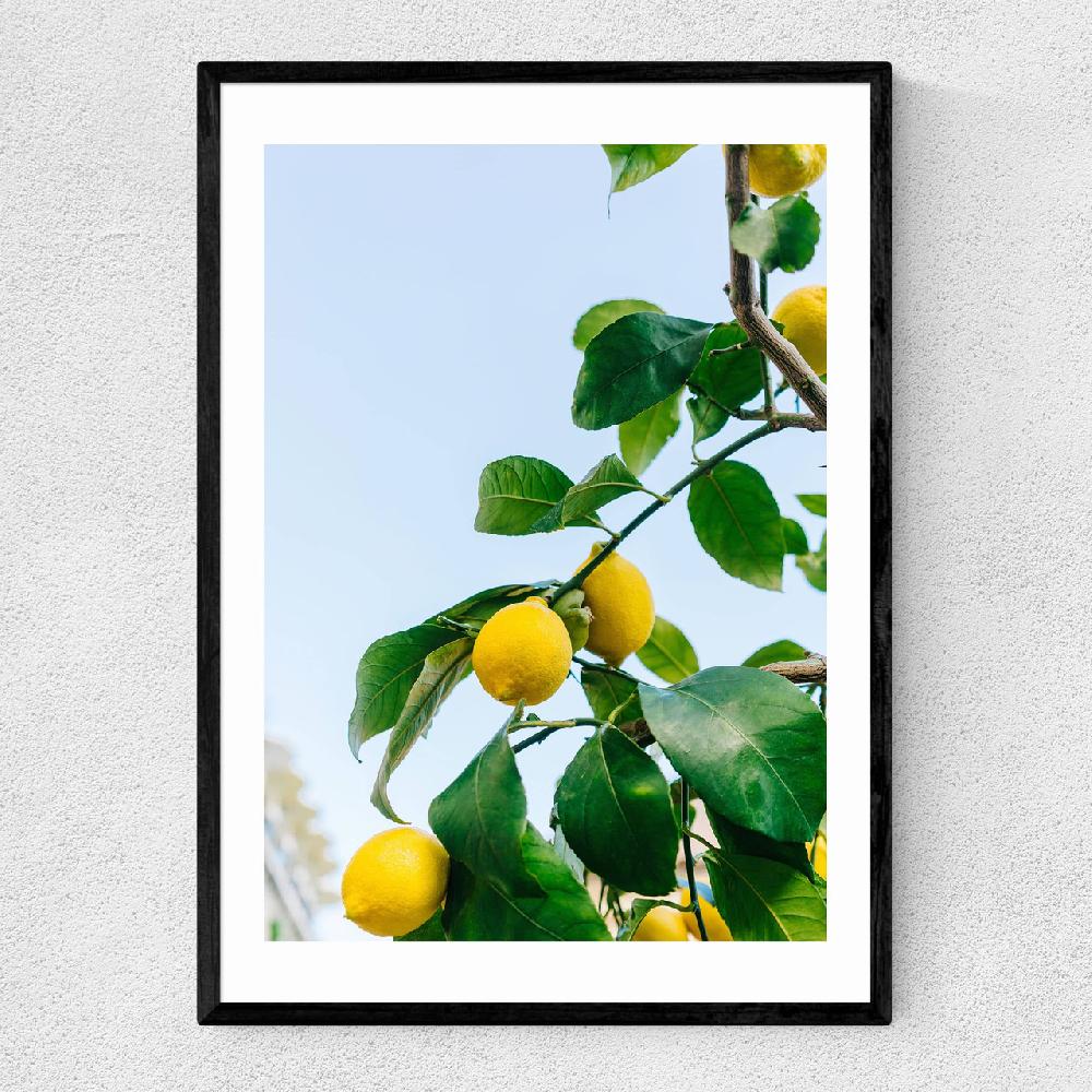 east end prints Amalfi Coast Lemons