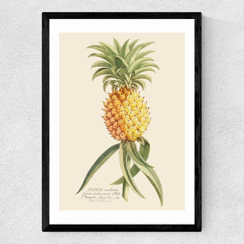 East End Prints Ananas By Aster