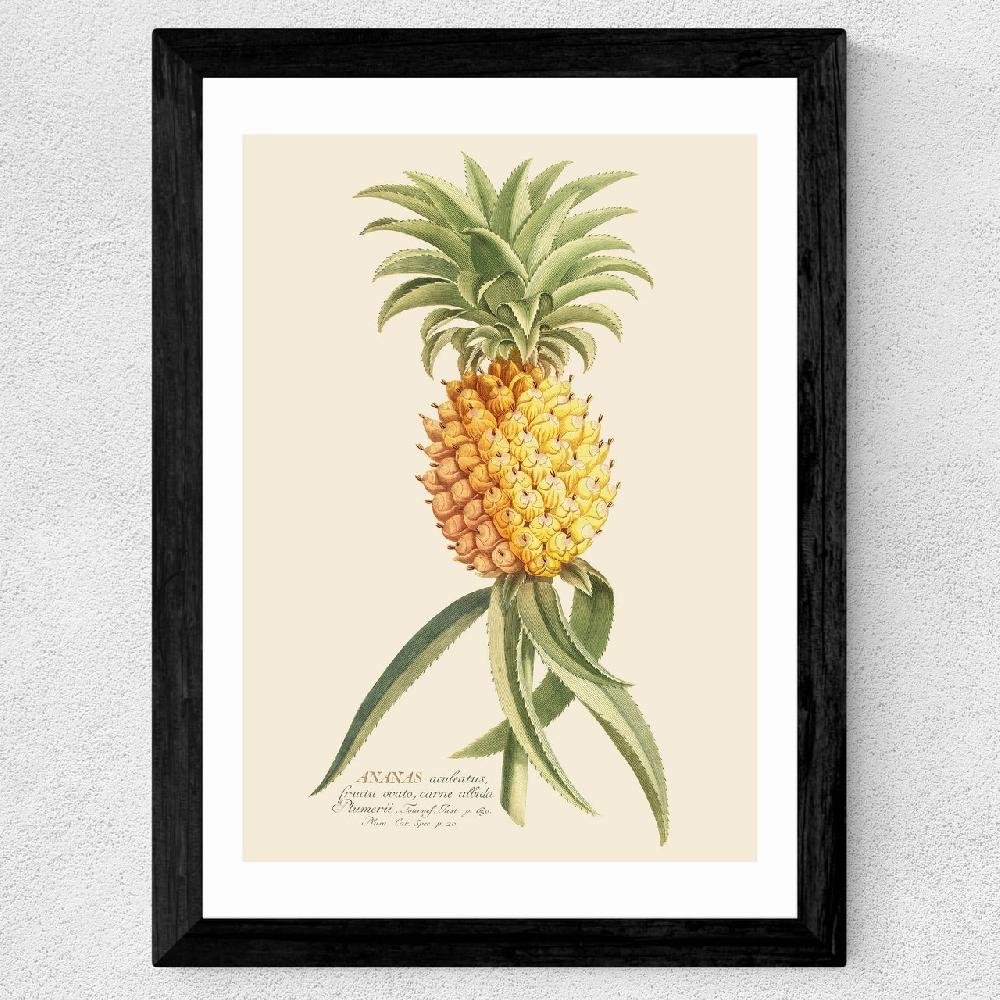 East End Prints Ananas By Aster
