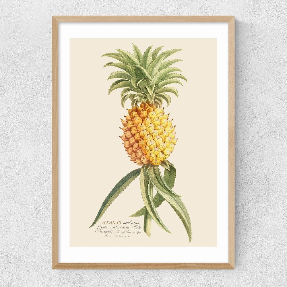 East End Prints Ananas By Aster
