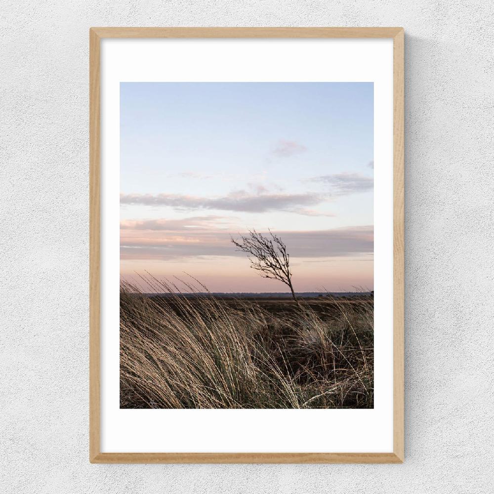 East End Prints At The Coast IV