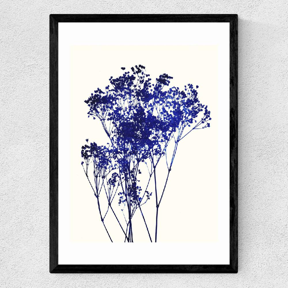 East End Prints Baby's Breath