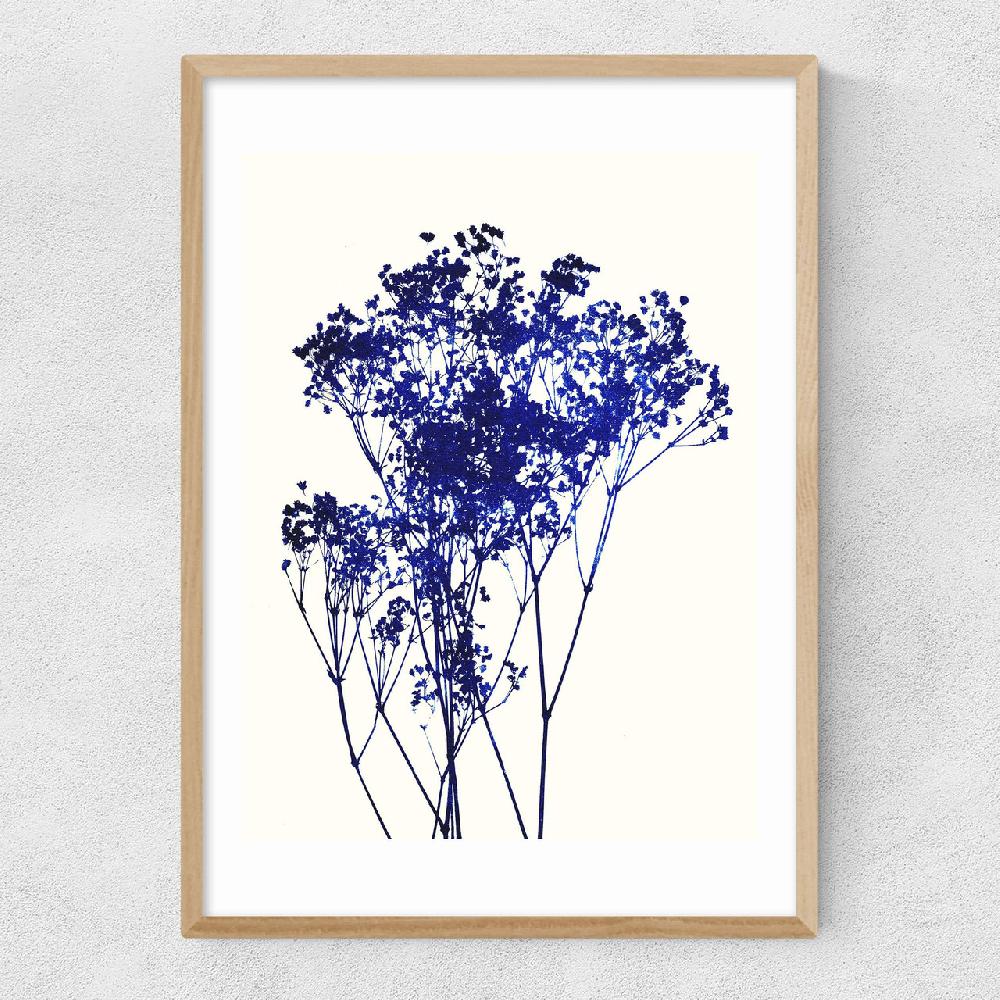 East End Prints Baby's Breath