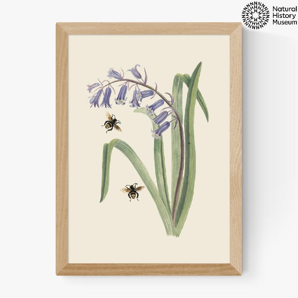 East End Prints Bee And Wild Hyacinth