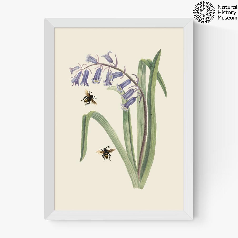 East End Prints Bee And Wild Hyacinth