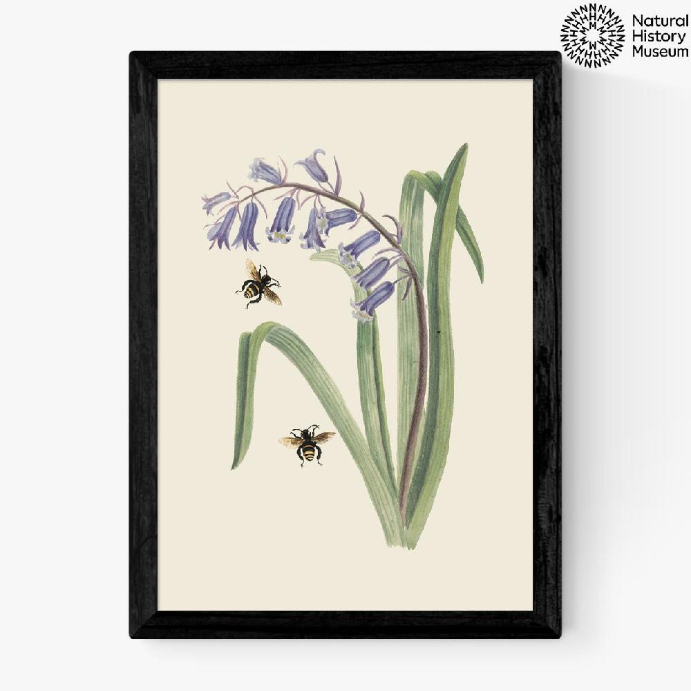 east end prints Bee and Wild Hyacinth